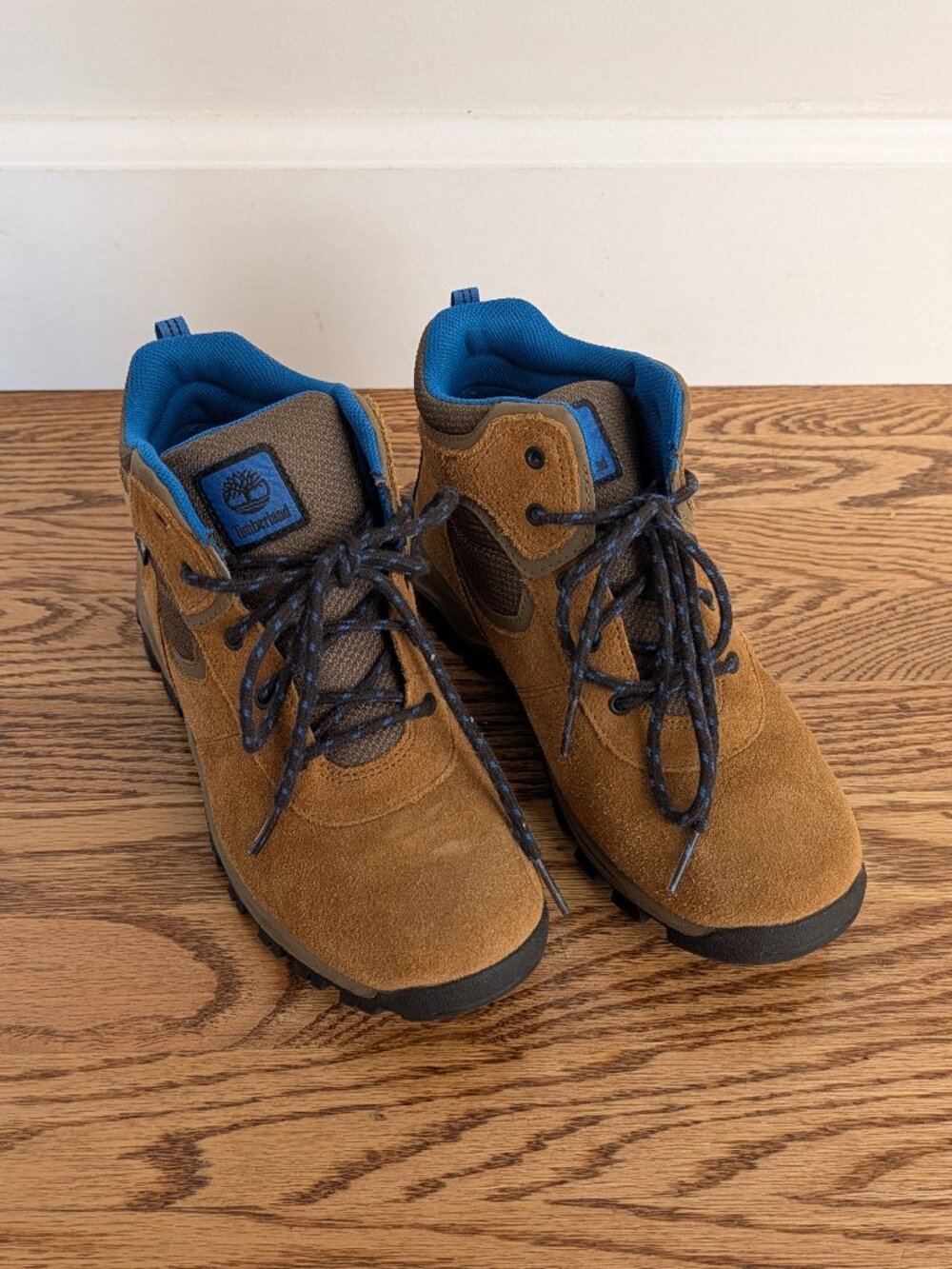 Big Kids Timberland Mt. Maddsen Waterproof Hiking Boots (Women's 6)